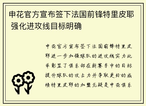 申花官方宣布签下法国前锋特里皮耶 强化进攻线目标明确